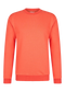 Oranje sweatshirt